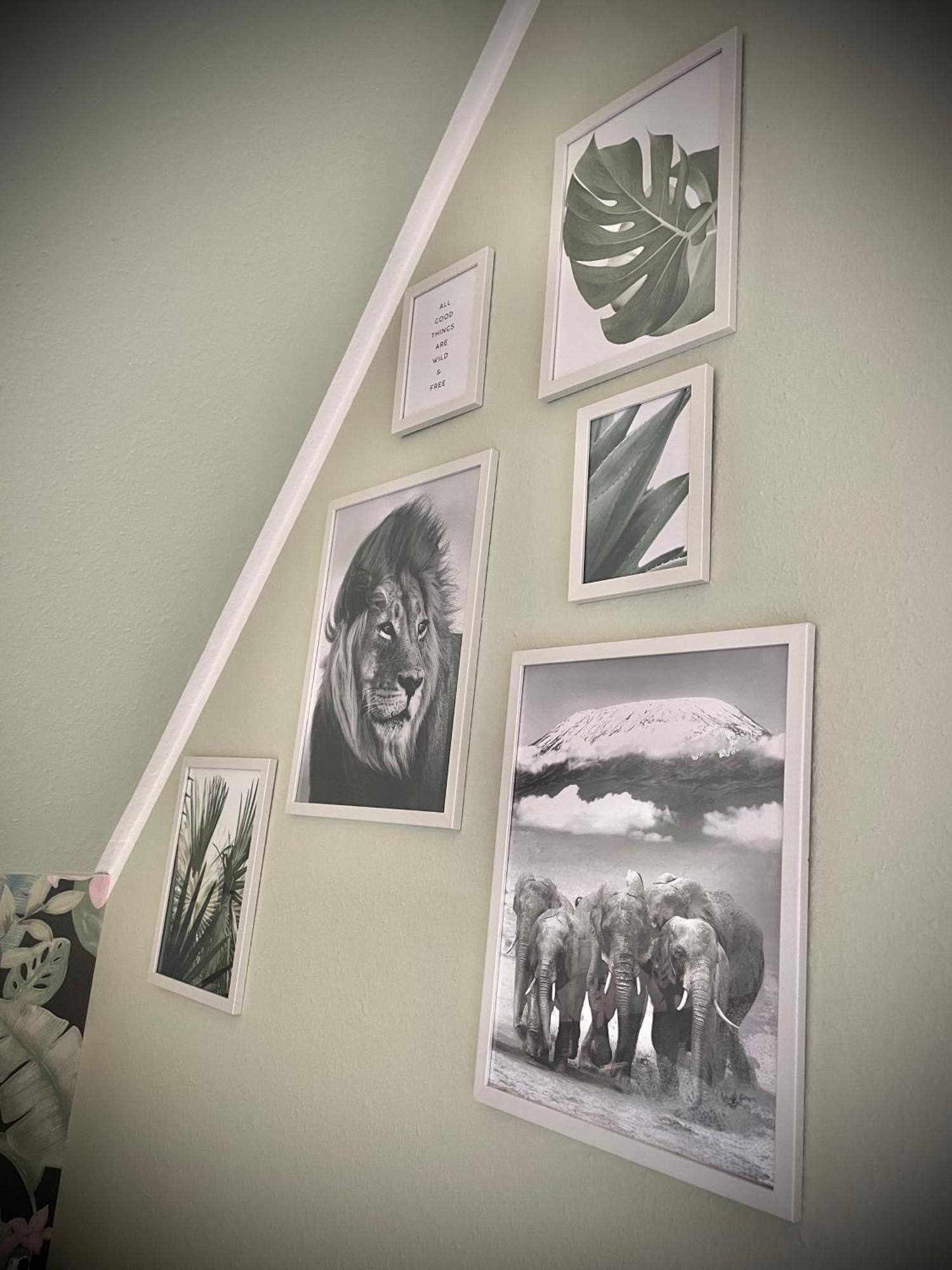 Appartamento Casa Jungle Glanz Deluxe Sigmaringen Esterno foto